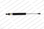 Lesjofors 8008406 Hood Lift Support - view 1