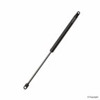 Lesjofors 8008407 Hood Lift Support - view 2