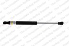 Lesjofors 8008410 Hood Lift Support - view 1