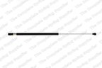 Lesjofors 8008419 Hood Lift Support - view 1