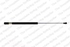 Lesjofors 8156805 Hatch Lift Support - view 1