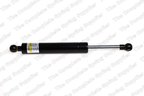 Lesjofors 8195816 Hatch Lift Support - view 1