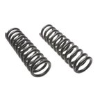 Moog 656 Coil Spring Set - Front - view 1