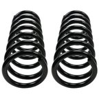 Moog 81119 Coil Spring Set - Rear - view 1