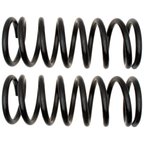 Moog 81121 Coil Spring Set - Rear - view 1