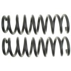 Moog 81154 Coil Spring Set - Front - view 1