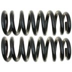 Moog 81378 Coil Spring Set - Front - view 1