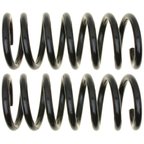 Moog 81387 Coil Spring Set - Rear - view 1