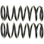 Moog 81407 Coil Spring Set - Rear - view 1