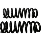 Moog 81726 Coil Spring Set - Front - view 1