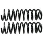 Moog 81738 Coil Spring Set - Front - view 2