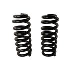 Moog 81763 Coil Spring Set - Rear - view 1