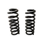 Moog 81769 Coil Spring Set - Rear - view 1