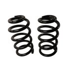 Moog 81772 Coil Spring Set - Front - view 1