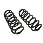 Moog 81781 Coil Spring Set - Rear - view 2