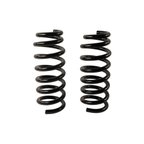 Moog 81785 Coil Spring Set - Rear - view 1