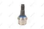 Mevotech MK7397 Suspension Ball Joint - Front Lower - view 3