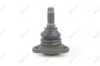 Mevotech MK9048 Suspension Ball Joint - Front Upper - view 3