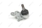 Mevotech MS60501 Suspension Ball Joint - Front Right Lower - view 3