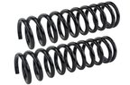 Mevotech SMS5380 Coil Spring Set - Front - view 1