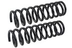 Mevotech SMS5380 Coil Spring Set - Front - view 2