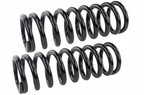 Mevotech SMS5534 Coil Spring Set - Front - view 1