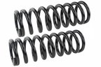 Mevotech SMS5534 Coil Spring Set - Front - view 2