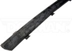 Dorman 25851 Door Window Seal - Right - view 1