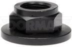 Dorman 615-004CD Spindle Nut - Rear - view 1