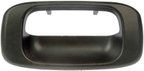 Dorman 76106 Tailgate Handle Bezel - view 1