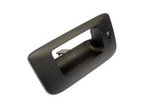 Dorman 80122 Tailgate Handle Bezel - view 2