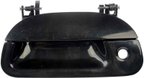 Dorman 80239 Tailgate Handle - view 1