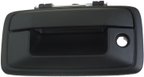 Dorman 82539 Tailgate Handle - view 1