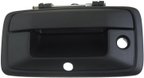 Dorman 82543 Tailgate Handle - view 1