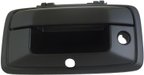 Dorman 82545 Tailgate Handle - view 1