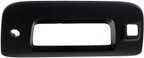 Dorman 82777 Tailgate Handle Bezel - view 1