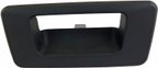 Dorman 88308 Tailgate Handle Bezel - view 1