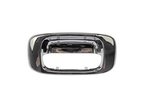 Dorman 91134 Tailgate Handle Bezel - view 1