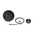 Moog K500017 Suspension Ball Joint - Front Lower - view 4