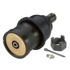 Moog K7025 Suspension Ball Joint - Front Lower - view 3
