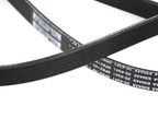 Mopar 53013905AE Accessory Drive Belt - Accessory Drive - view 2