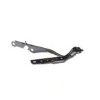 Mopar 55113551AG Hood Hinge - view 2
