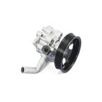 Mopar 68068641AB Power Steering Pump - view 1
