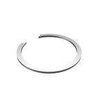 Mopar 68094810AA Wheel Bearing Retainer - Front - view 2