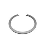 Mopar 68094810AA Wheel Bearing Retainer - Front - view 1