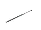 Mopar 68103072AD Liftgate Cylinder - view 1