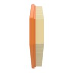 Mopar 68172459AA Engine Air Filter - view 4