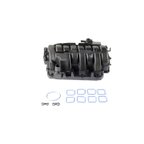 Mopar 68189105AC Engine Intake Manifold Kit - view 2