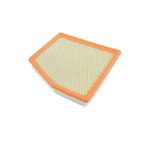 Mopar 68214516AA Engine Air Filter - Primary - view 3