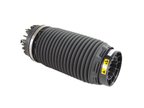 Mopar 68248948AA Air Suspension Spring - Rear Right - view 2